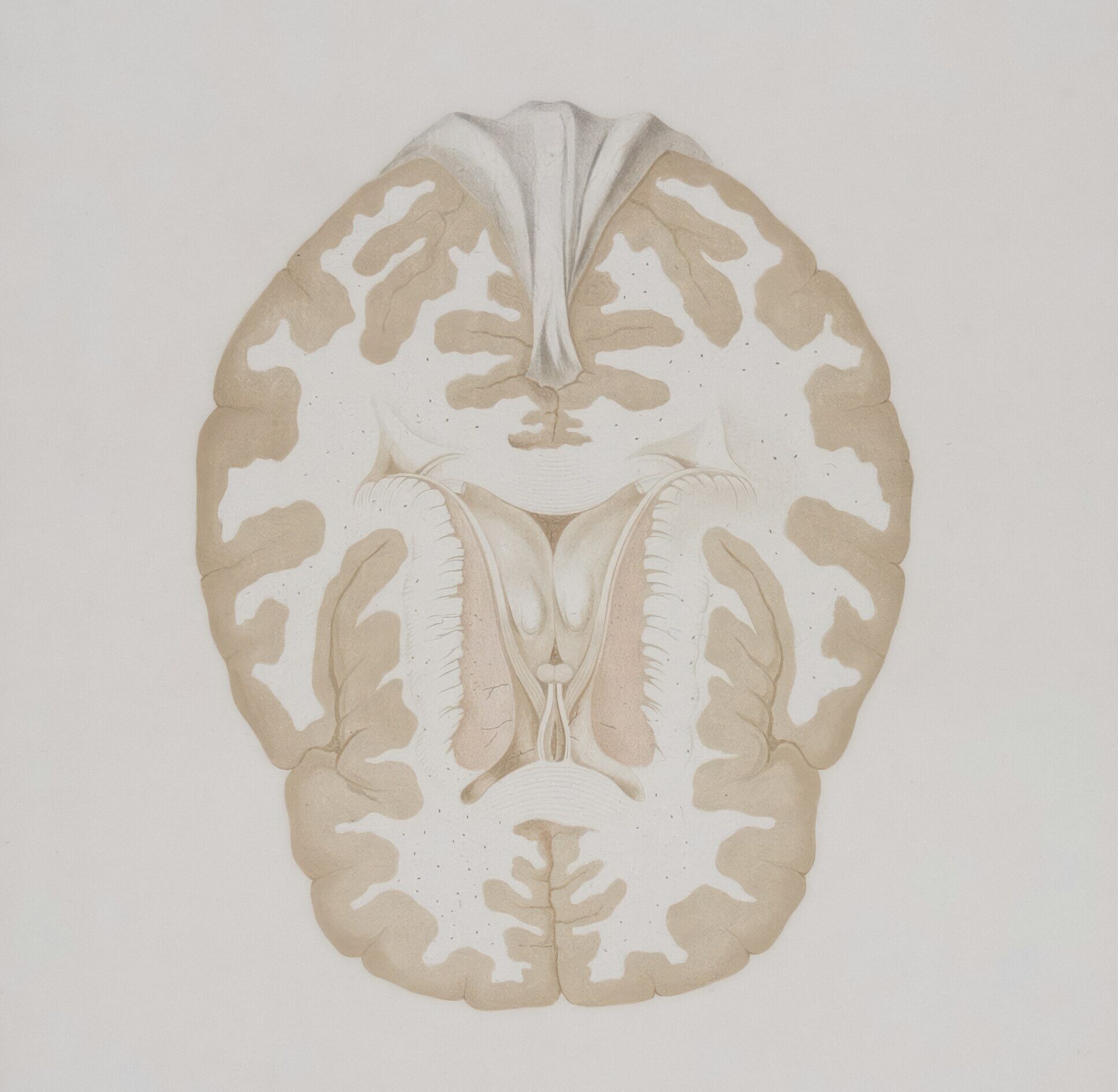 Mental Health Is Health